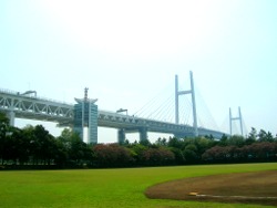 Daikoku Prot Ground : Scenery - Yokohama Forties Baseball Club